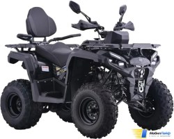 Квадроцикл AVM Adventure 250 - Фото